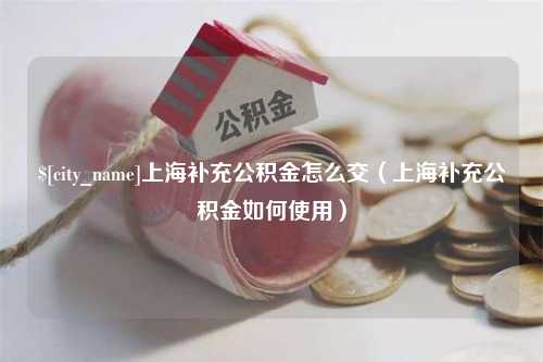 广元上海补充公积金怎么交（上海补充公积金如何使用）